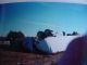 Letica wreck 002